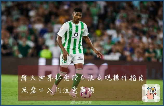 烽火世界杯竞猜合法合规操作指南及盘口入门注意事项