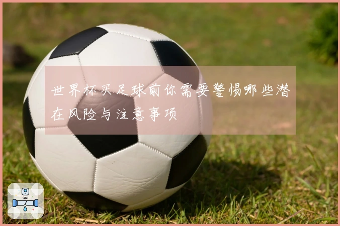 世界杯买足球前你需要警惕哪些潜在风险与注意事项