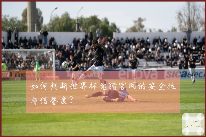 如何判断世界杯竞猜官网的安全性与信誉度？