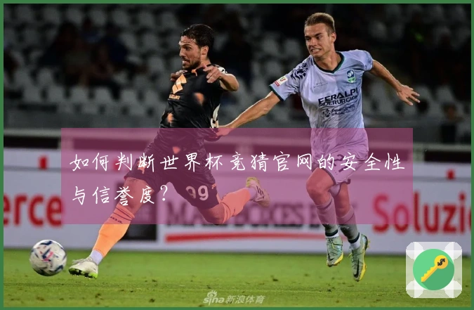 如何判断世界杯竞猜官网的安全性与信誉度？