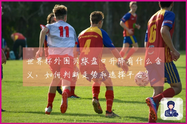 世界杯外围买球盘口升降有什么含义，如何判断走势和选择平台？