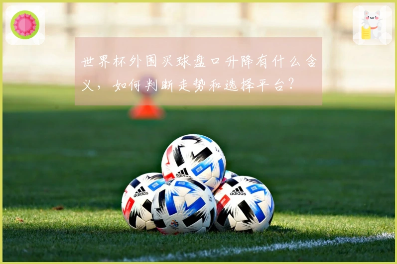 世界杯外围买球盘口升降有什么含义，如何判断走势和选择平台？